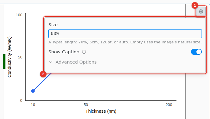 A figure with its settings open: Size, Show Caption and Advanced Options